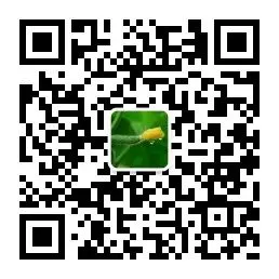 篮球最大力量训练计划怎么写的啊_0